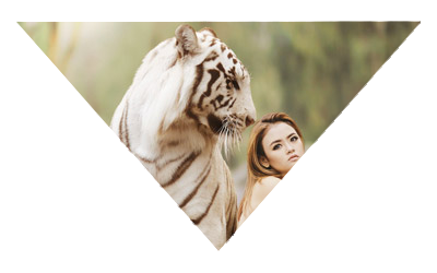 photographie montage triangle tigre et femme